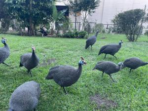 2 Bedroom Duplex Plettenberg Bay