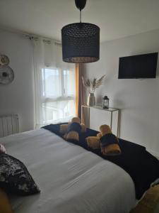 Villas Villa Terre & Mer avec piscine interieure proche Cabourg : photos des chambres