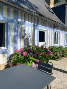 Blue cottage in Normandie