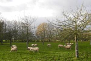 Blue cottage in Normandie