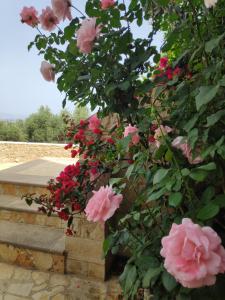 Xenias countryside guesthouse