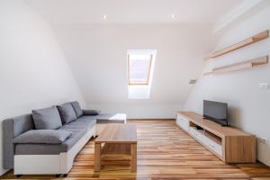 Apartment Pr' Štajercu with Free Onsite Parking 