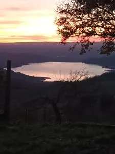 Piccola Sorpresa - Corbara