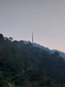 Surya Regency Premium 3 KM Before Mall Road Kasauli