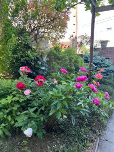 Maisons de vacances Superbe maison proche Paris : photos des chambres