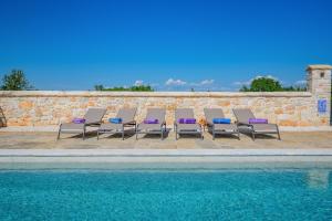Beautiful Villa 117 with pool in Visnjan 