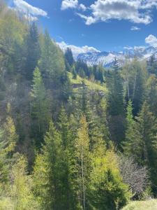 Appartements vue splendide montagnes centre village pieds des pistes et remontees Mecaniques : photos des chambres