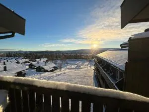 Charming Top Floor Apartment with Balcony - Beitostølen
