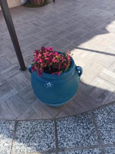 Casa Vacanza Boi-Dessena img15