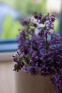 2HomeRent Grottgera 4 Skyline View