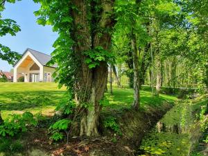 Villas Domaine La Verrerie en Champagne : photos des chambres