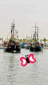 119 camus 120 - Houmt Souk