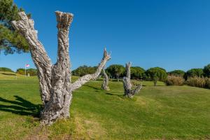 Albufeira Balaia Golf Vilage 6 With Pool by Homing