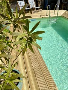 Villas Villa des Pins : photos des chambres