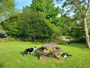 Sheepfold Cottage Dulverton