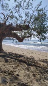 Family sea view apartment near the beach