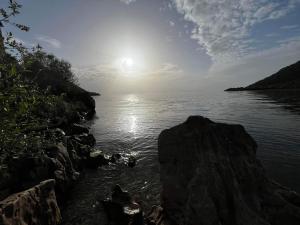 Lakeview Apartments Jolicic