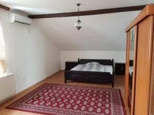 Villa Ilidza - 伊利扎