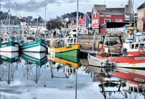 Ar Mor, votre pied à terre cocoon au cœur de ville