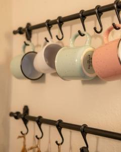 Im Herzen der Zürcher Altstadt