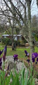 Campings Les Chalets de Labeaume : Chambre Double avec Lit d'Appoint