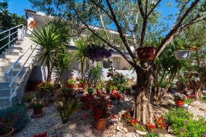 Apartments Say close to Center and Beach