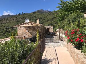 Maisons de vacances Gite A Funtana Montestremo, Balagne, Haute Corse : photos des chambres