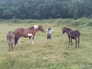 Appartements eco nature, gite a la ferme : photos des chambres