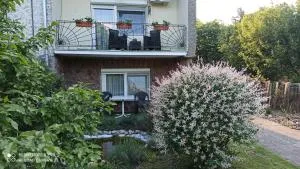 Kuća Donji Park - Bečej