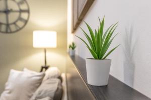 Mariposa Apartment