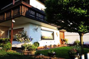 Ferienwohnung Rheinblick