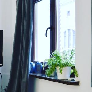 Skandi Apartment - Old Town Mostowa