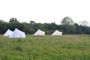 Luxury Glamping - Heydaze