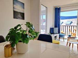 Appartements Les Embruns / F2 Hyper centre Houlgate : photos des chambres