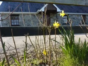 The Hill Cottage - Clonco Bridge