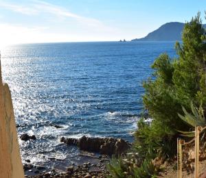 Appartements T2 climatise a 500m de la plage sur la presqu'ile de Saint Mandrier sur Mer : photos des chambres