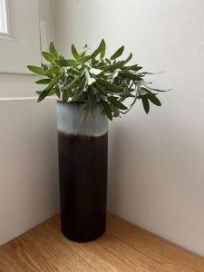 Maisons de vacances Un break a Mers IJ : photos des chambres