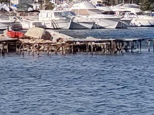 Appartements T2 climatise a 500m de la plage sur la presqu'ile de Saint Mandrier sur Mer : photos des chambres