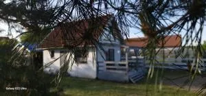 W ładnym polu n1 - Wygryny