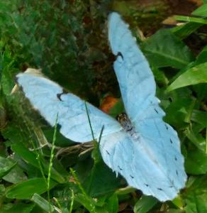 Chalés Alcantilado - Morada Sol e Lua