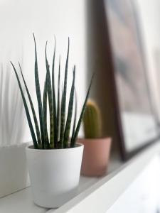 Xenia Apartments - Fashion Week Studio near Navigli