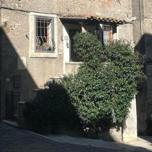 Casa Rosanna