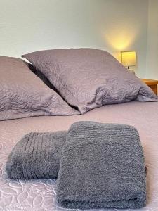 LEscapade Cathare - Résidence Terrasse & parking