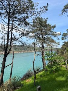 Appartements Appartement residence Castle Beach : photos des chambres