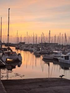 Appartements Charmant T3, 200m du Port, Plage a Pied - Appart 4 : photos des chambres