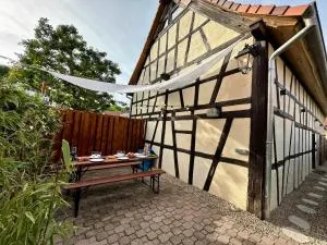 Alsace Gîte 3 étoiles "Coeur de Cigogne" - 15mn Strasbourg Obernai - Clim Wifi Parking gratuit - Oberschaeffolsheim
