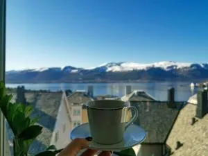 Fjord-view apartment, 10 min walk to city centrum - Syvik