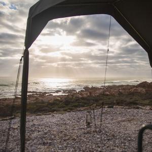 Namaqua Flowers Beach Camp
