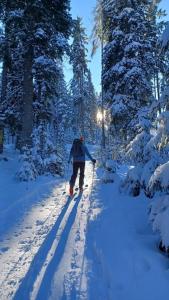 Klösterle Haus Resi