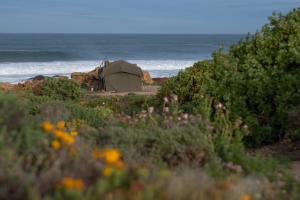 Namaqua Flowers Beach Camp